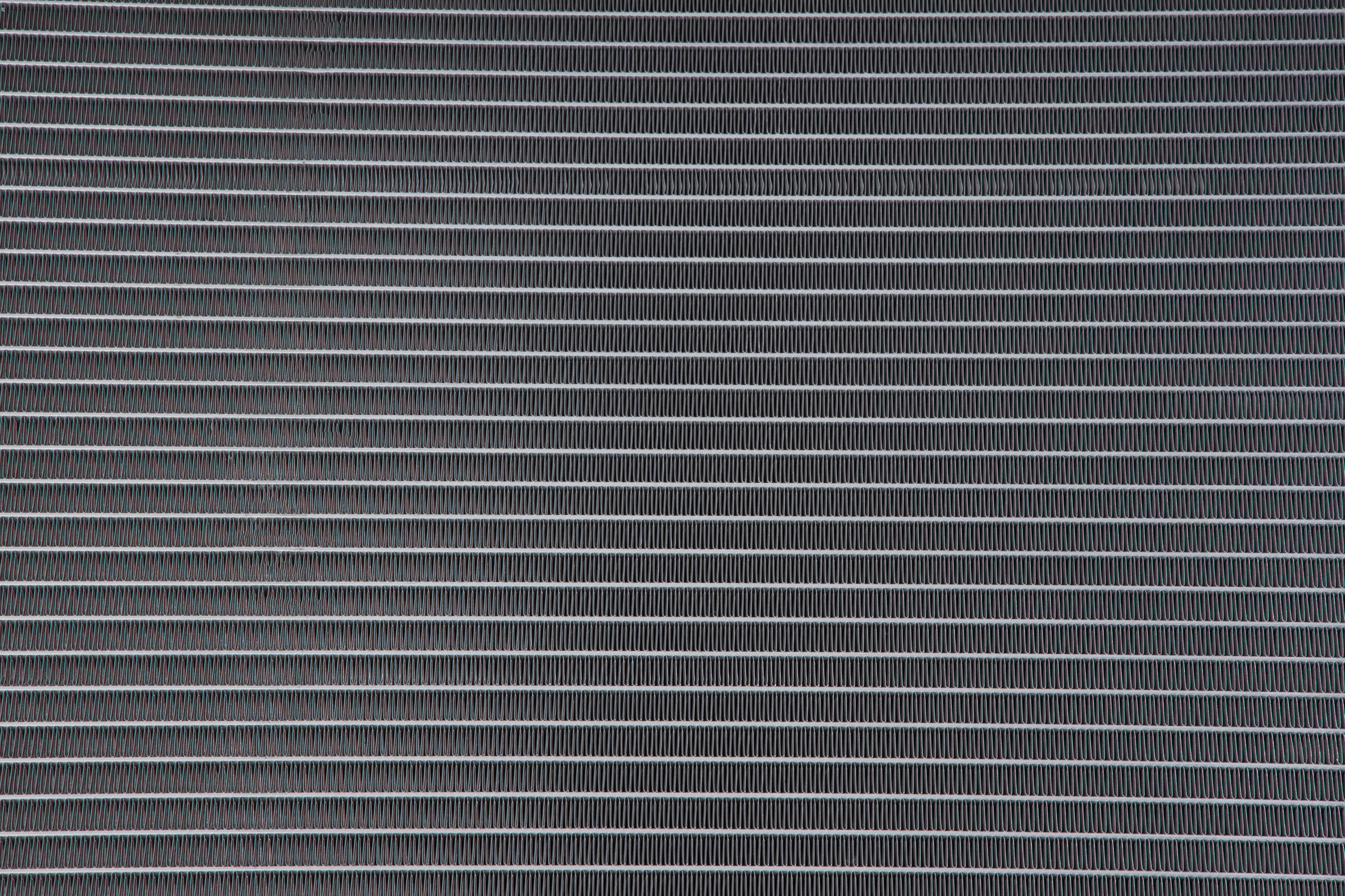 2P9A2491.jpg